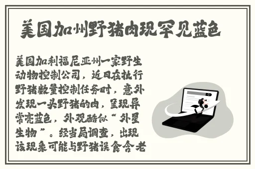 羞羞漫画一键登录入口