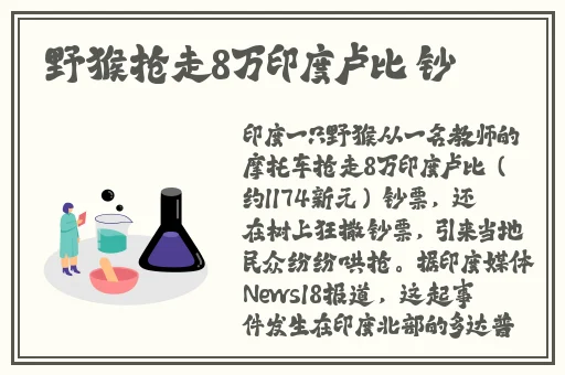 麻花传媒旗下艺人沈芯语图片