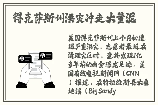 张婉莹暑假作业免费大全FT中文网