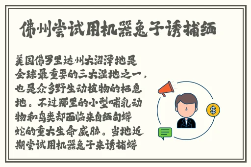 交1300部小说合集